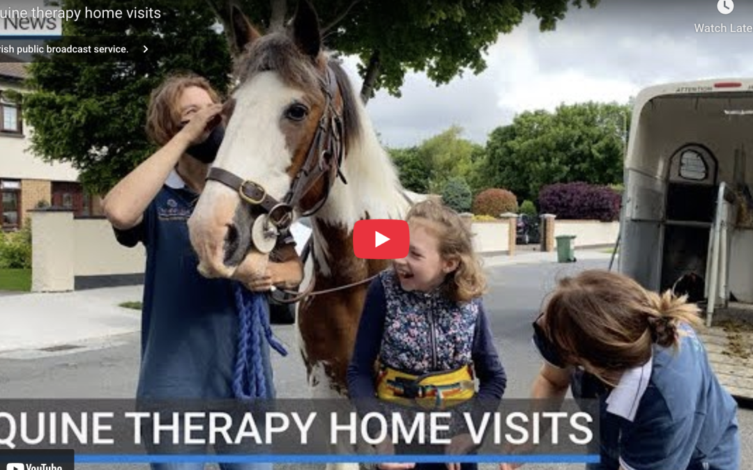 Equine therapy home visits by Childvision